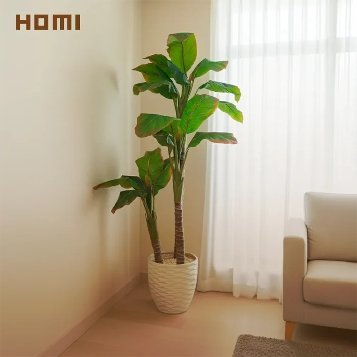 شجرة موز كود 2510