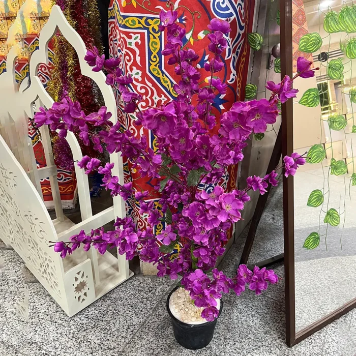 شجره مشمش موف كود 2522