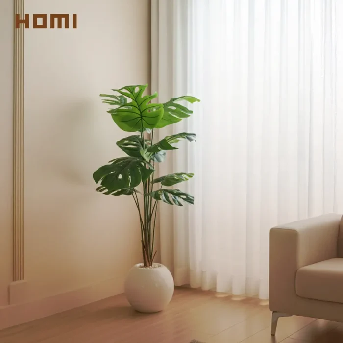 شجرة مونستيرا كود 2506
