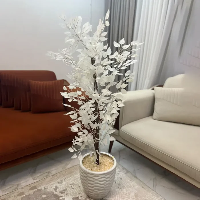 شجره بنجامينا ابيض كود 2518