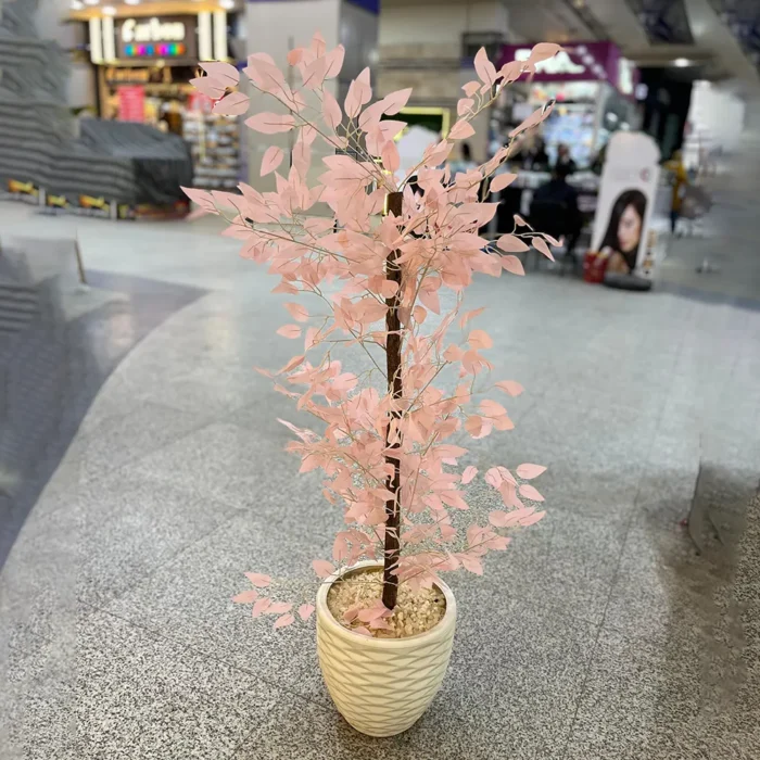 شجره بنجامين بينك كود 2519
